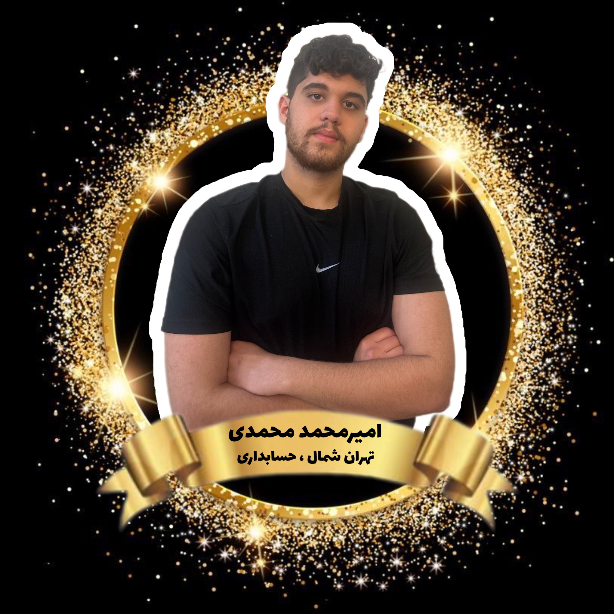 امیرمحمد محمدی,مهرماندگار